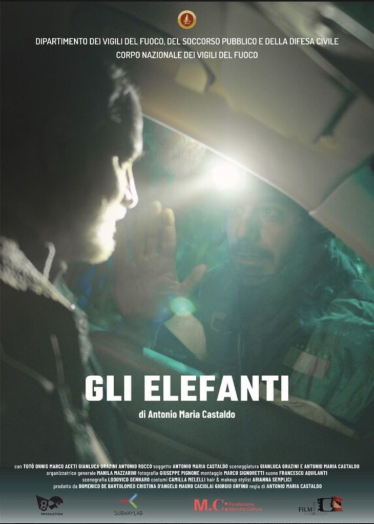Gli elefanti